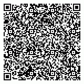 vCard 79994770399