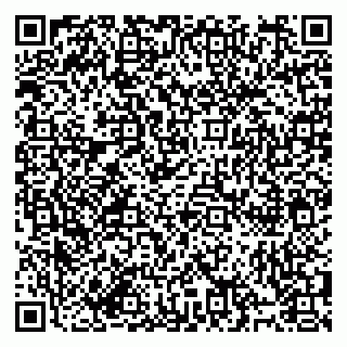 vCard 79994895004