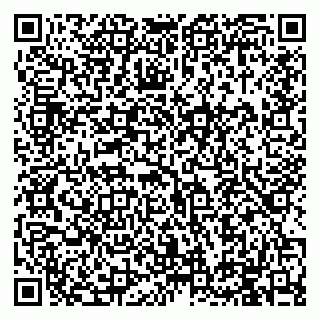 vCard 79994895104