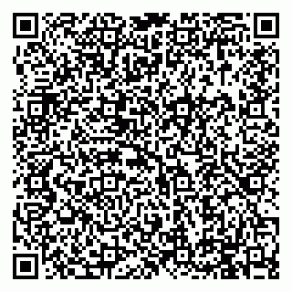 vCard 79994895120