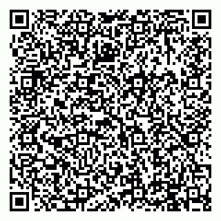 vCard 79994895139