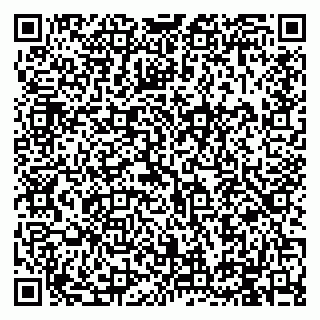 vCard 79994895153