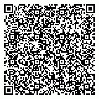 vCard 79994895160