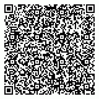 vCard 79994895171