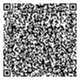 vCard 79994895205
