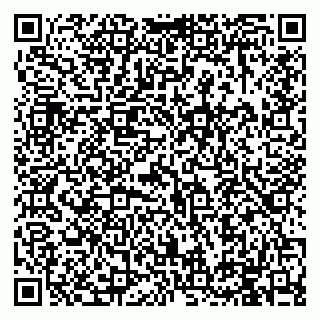 vCard 79994895209