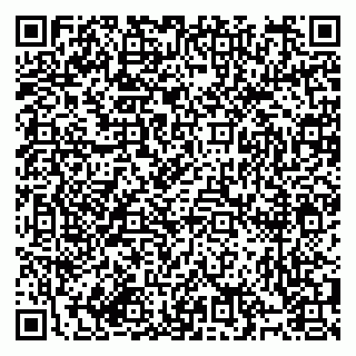vCard 79994895221