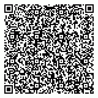 vCard 79994895240