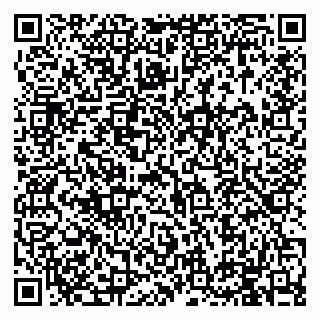 vCard 79994895270