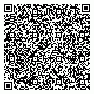 vCard 79994895285