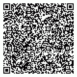 vCard 79994895293