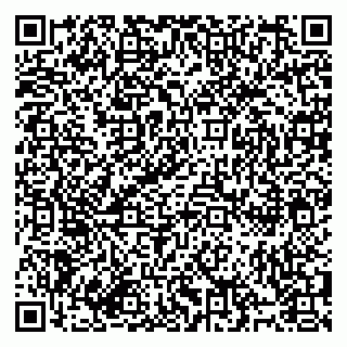 vCard 79994895294