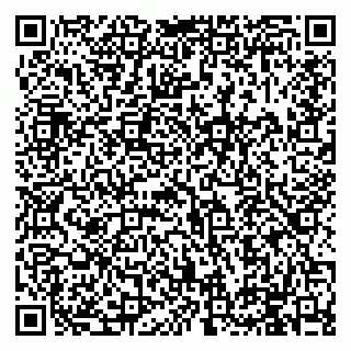 vCard 79994895295