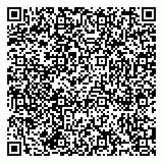 vCard 79994895303