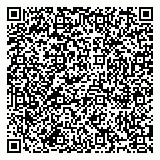 vCard 79994895304