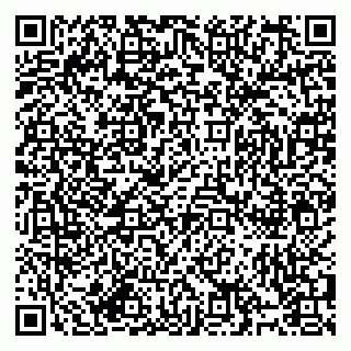 vCard 79994895308