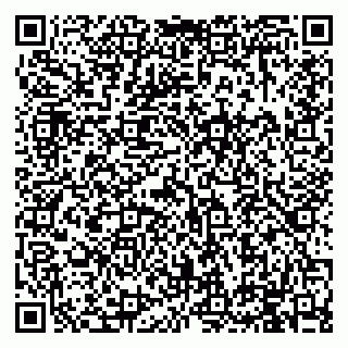 vCard 79994895309
