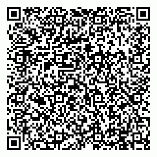 vCard 79994895313