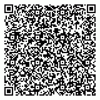 vCard 79994895320