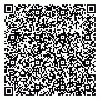 vCard 79994895331