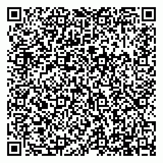 vCard 79994895335