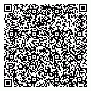 vCard 79994895337