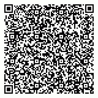 vCard 79994895338