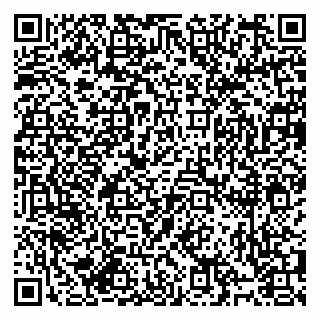 vCard 79994895339