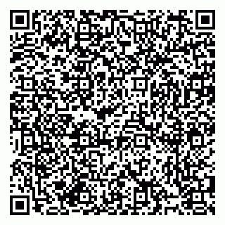 vCard 79994895370