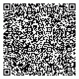 vCard 79994895373