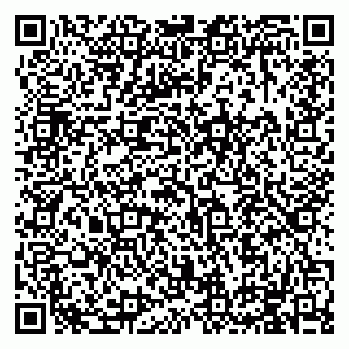 vCard 79994895379