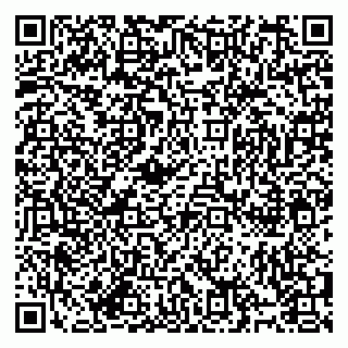 vCard 79994895382