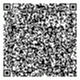 vCard 79994895384