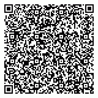 vCard 79994895389