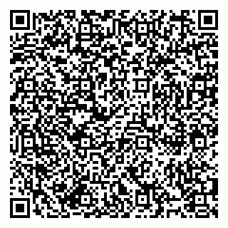 vCard 79994895391