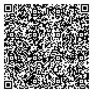vCard 79994895393