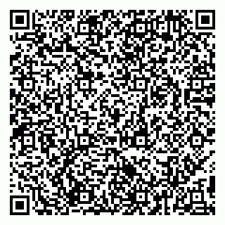 vCard 79994935029