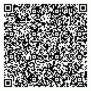 vCard 79994935398