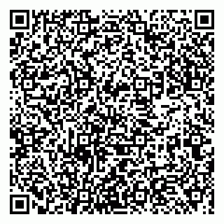 vCard 79994995381