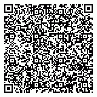 vCard 79995000404