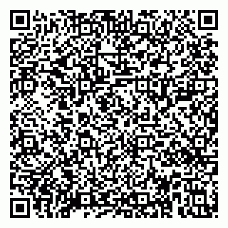 vCard 79995000413