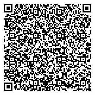 vCard 79995002539
