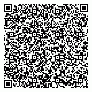 vCard 79995002639