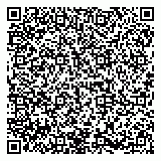 vCard 79995002739