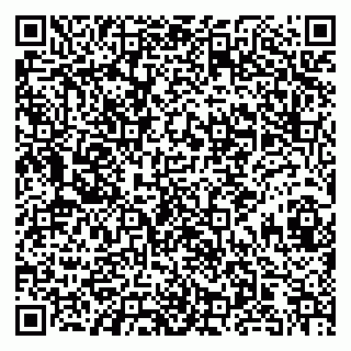 vCard 79995098273