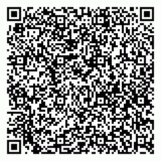 vCard 79995098393