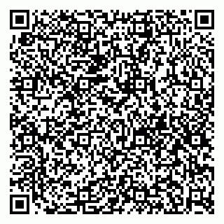 vCard 79995098394