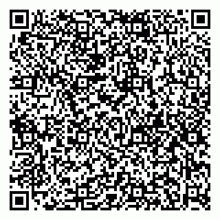 vCard 79995098395