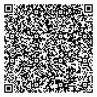 vCard 79995385011