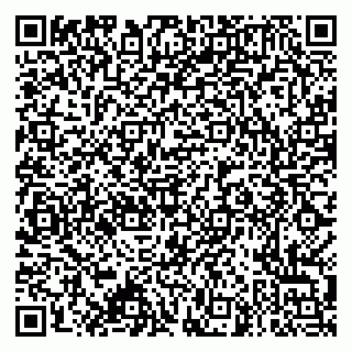 vCard 79995385033